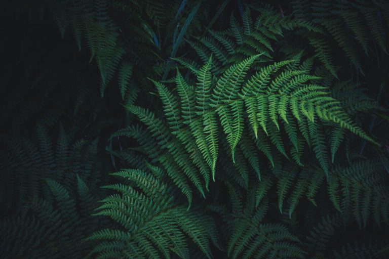 The Deadly Dangers of Passive Discernment